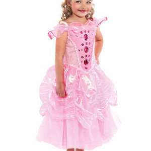 Girls Pink Princess Dress Up Clothes